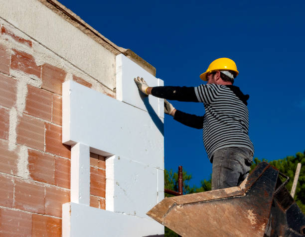 Best Insulation Inspection Services  in Mpbell, CA